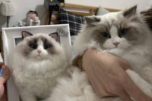 046fe04c1e434af9b1b5f0ed8c8fa152