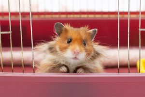 07d0cac0-8047-11ec-aa4e-04d99af07671