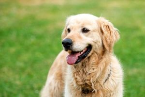 0_I220209_151028_100570909oTextTRMRMMGLPICT000255932810o