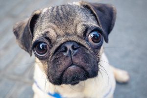 _124800859_gettyimages-817514614