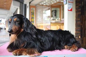 1378111672-2311321138_m