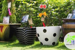 1408954388-395035333_n