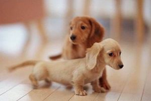 1420614632-2950473719_m