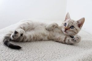 143594e8-2512-4c18-9f34-9ca02045beca