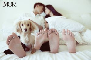 153854767188938500_w_1200x800