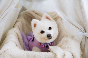 1569424469-3076224988_wn