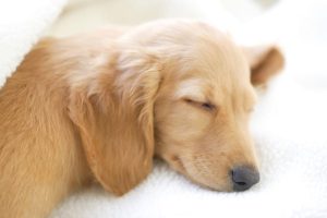 166602370322148_P15255934