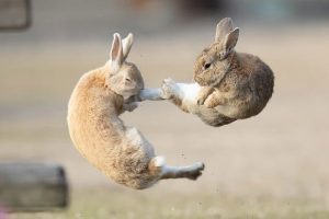 166626903518321_P16344938