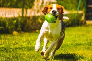 167143715328184_P14039497