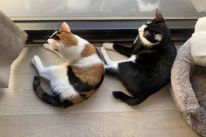 167423900835766_P18618236