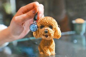 168370945350741_P16526164