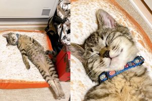 168447613440896_P19836457