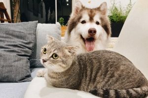 168630545570337_P22541178