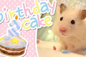 171b70d3d94925fe62c14852c4e14fb771af553e