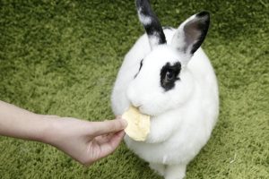 190508-20535-03-wQsjh