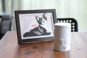 190804-20844-4-YzhZj