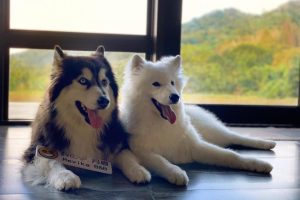 191228-21950-05-wm4jI