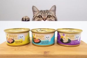 1e4ba7b98413b08f596c95cfd2c22b2b