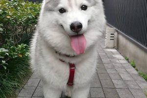 200426-23085-01-P90tZ