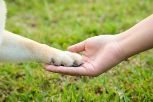 200718-23776-01-D1wHl