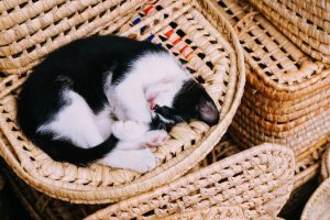 2017062913530693_P1244298_f76d554dXZ