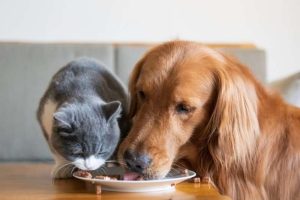 20190515-055214_U12603_M519949_d6e5