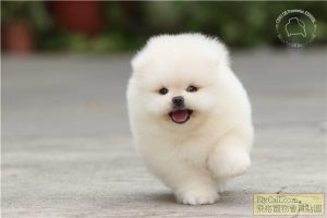 20200731_a4e2a737f651149f0acfmDK74Fa2Yr9Z