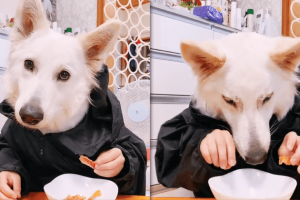 20211103162449-f15bb600cf0b556f0bb5da747536db7a-mobile