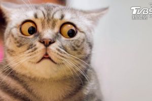 20220520170357-1298d211