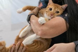 20230504160623-e4f1b6ed