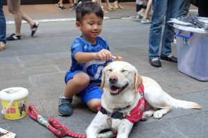 21ca55aff5c24a57b88316868bf3119a