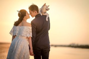 25555709708_11fff211e3_b