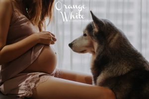 50572685991_0a7837381d_b