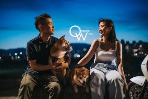 51835607223_c3165785f7_c