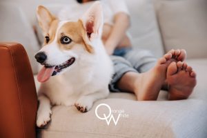 52123353166_d595360611_b