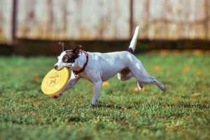 550454e7-543b-4e42-bc98-c85ff2b2cae4