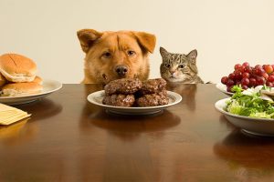 61aa2c62-cdaa-4a0f-8de2-feea06d5c674-1655443790-8vbrs3ksjz_m_1200x719_800x479_400x240