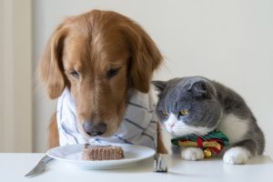 63PBYTdofAZzXiWmpwtc1g3aq7120cHdt5K6sLeSurA