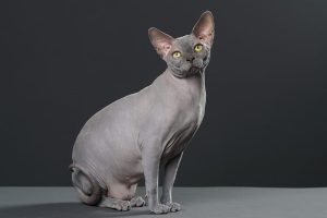 69f0aa610c44212cdf001b903d950139