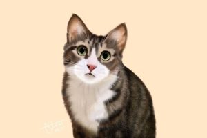 6db43922-9892-47d1-97c0-3827274cce74