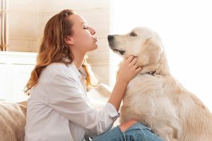 732ef248c0a2a967e08830a1cec94cbbe2613649