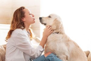 732ef248c0a2a967e08830a1cec94cbbe2613649