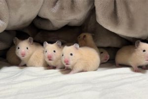 7b1f223a-77e6-496f-a974-1212a834b704