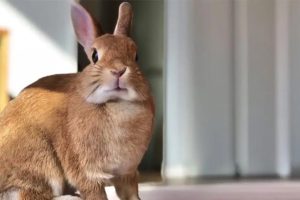 7e1cde82-44af-d82e-34bb-721889d314f0