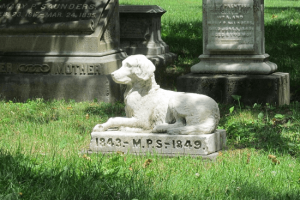 7e619612cbec516438b12b3a8df0ee63