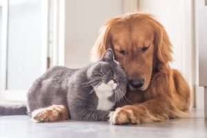 886b991d-45ff-1566-a716-ef78f7f58895_620