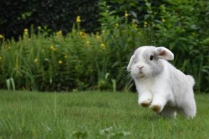 89147230-9b9e-11ed-aac3-9327af6c20a4