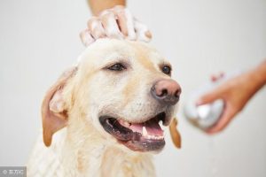 8f5e16782f9643a6a713fa23e4382d32