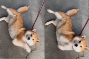 8fa9eeab-b297-4047-8d91-6f125b17cfbc