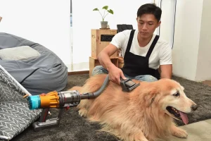 9CE494E588A5E5B589E78EAEE5AB9EE7B788E7B898E8B2BDE7A885E6B08DE79ADyson20Detect%